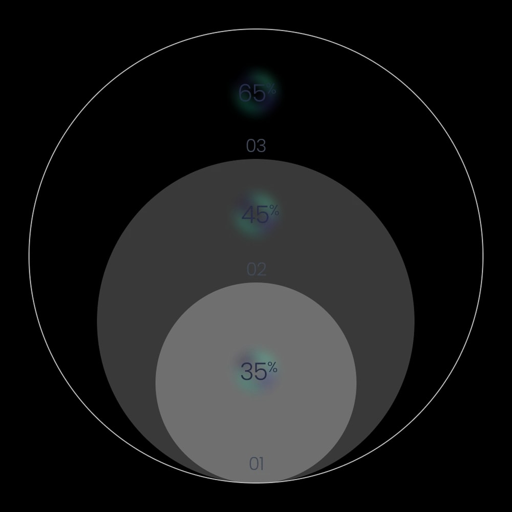 Three concentric circles labeled 01, 02, 03, each holding a percentage: 35% for 01, 45% for 02, 65% for 03.